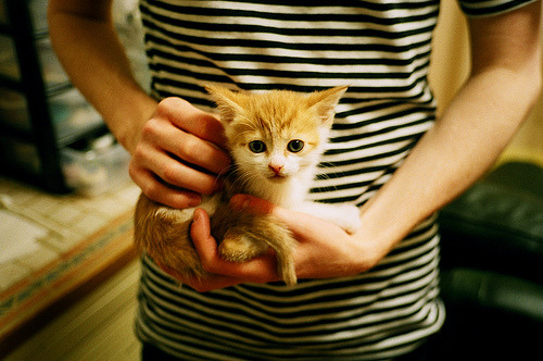 乡村越野卡丁车大战,绿地里的极速体验,越野卡丁车多少钱一台