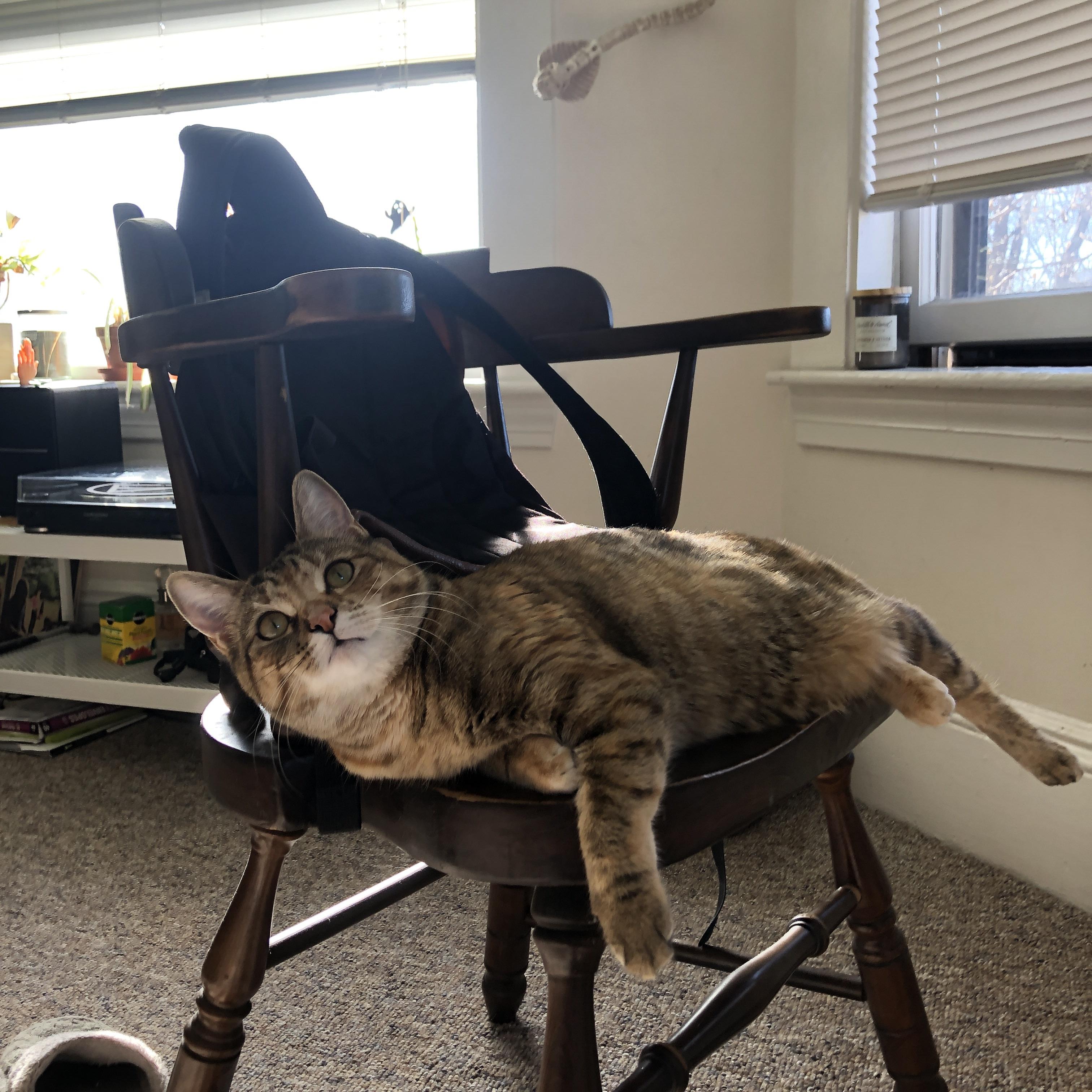 乡村越野卡丁车大战,绿地里的极速体验,越野卡丁车多少钱一台