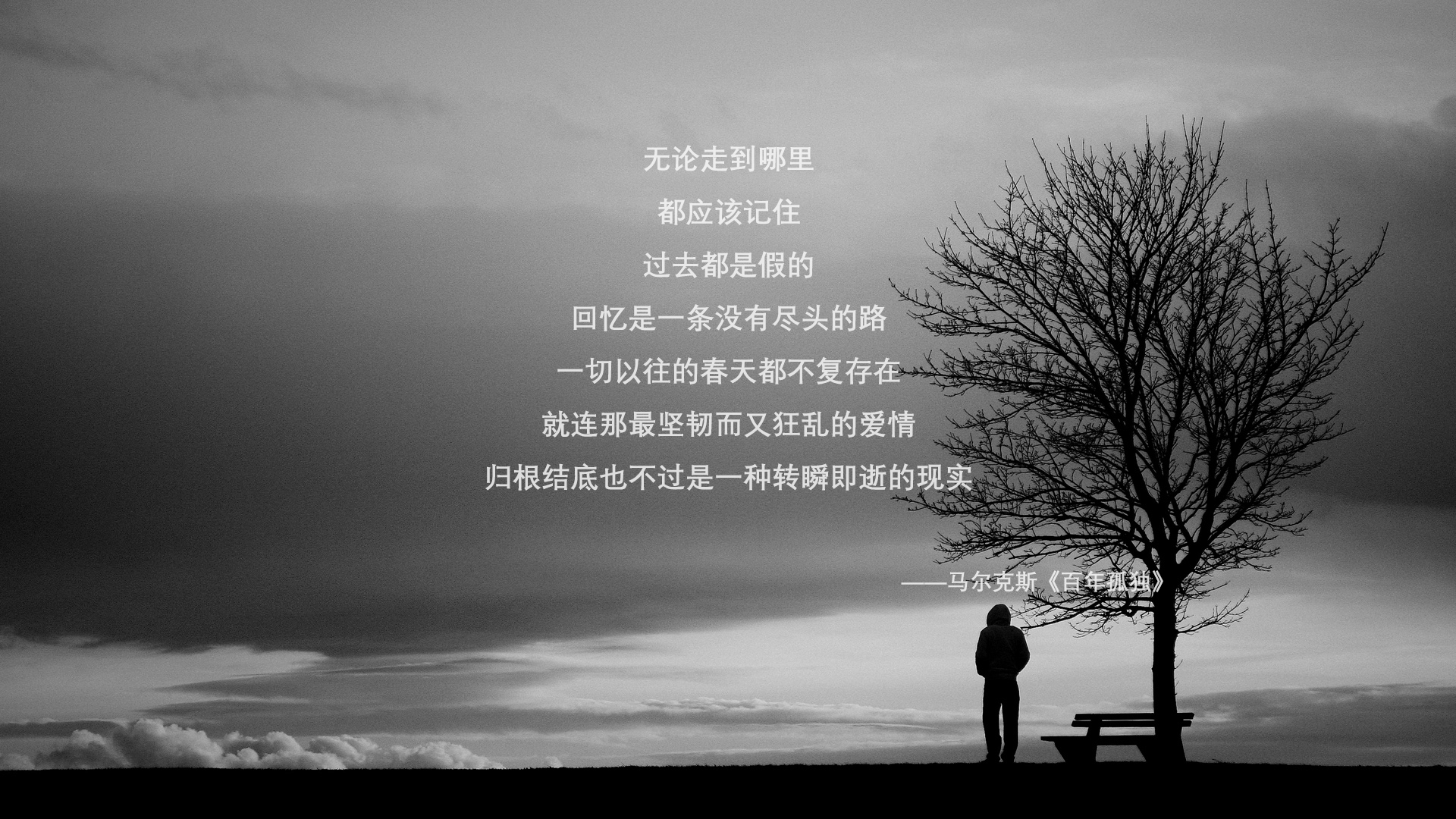 开云体育APP下载-【Juan Soto的猛攻】教士核心打出连续多击